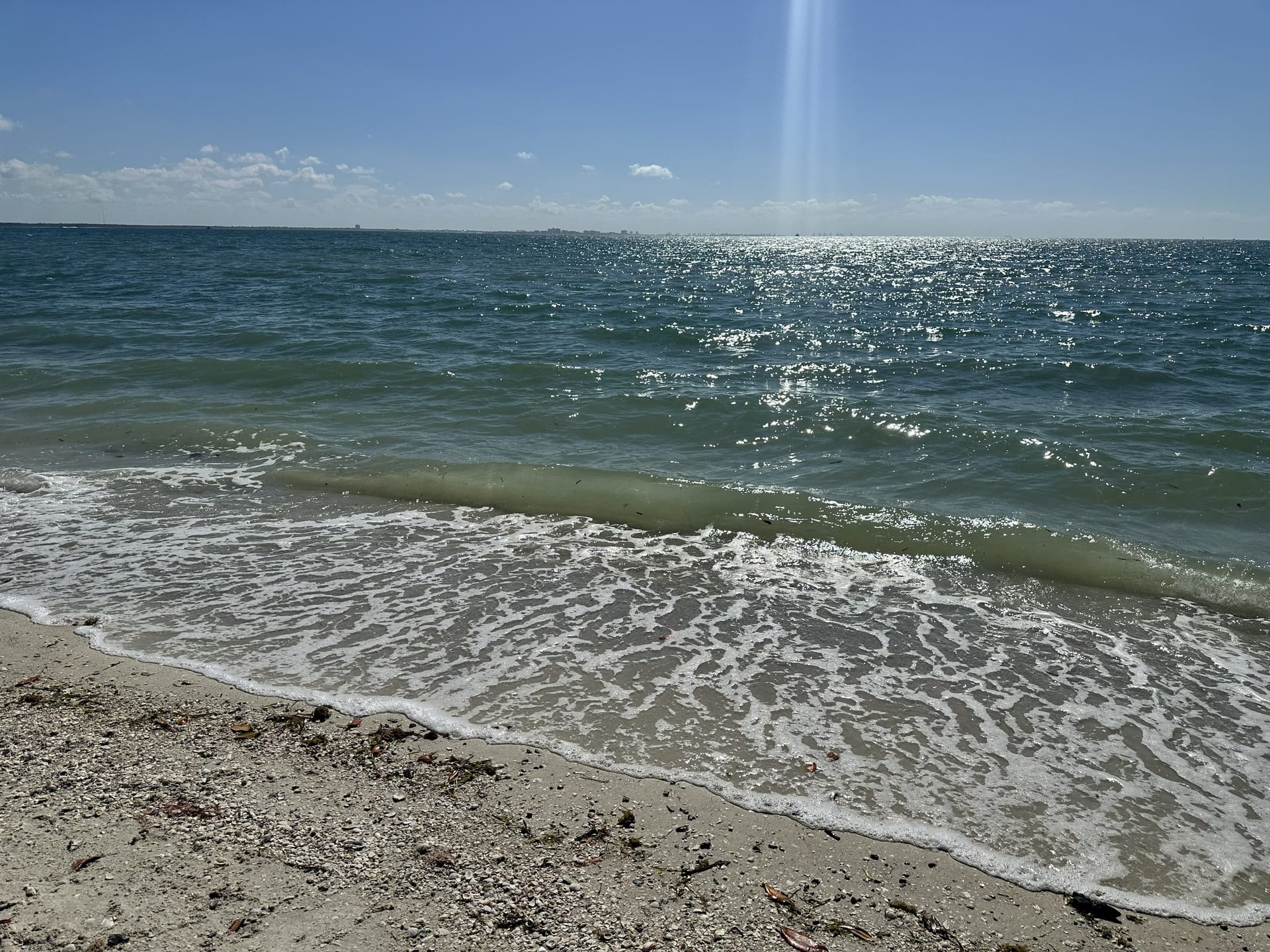 Gentle surf washing over a shell-strewn shoreline, sunlight sparkling on the water